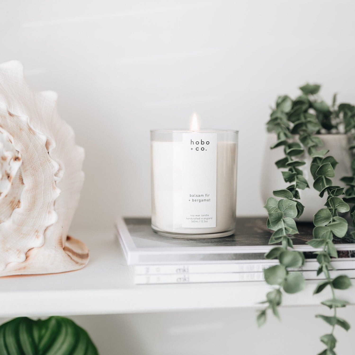 Large Balsam Fir and Bergamot Candle