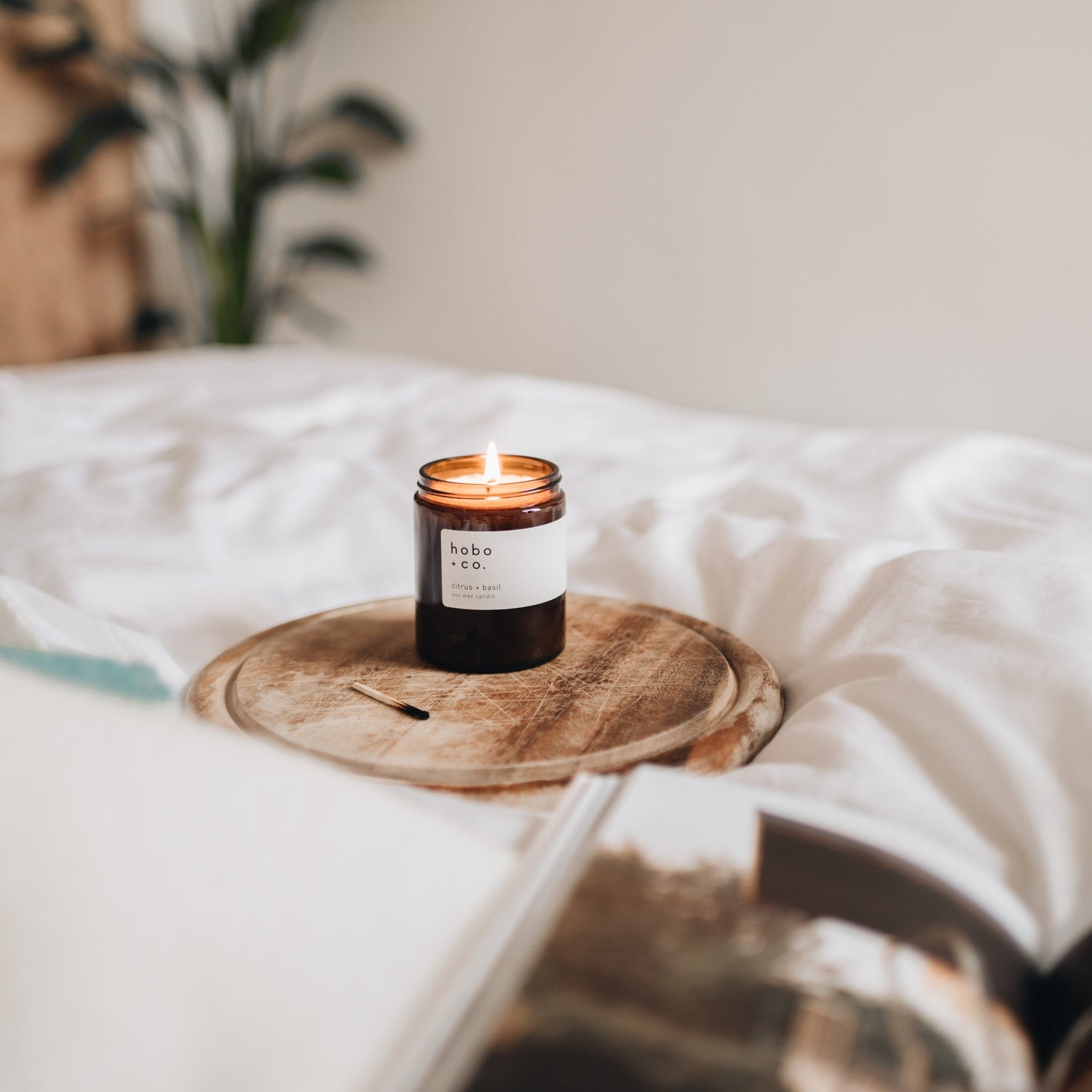 Glass Jar Fig and Cassis Candle